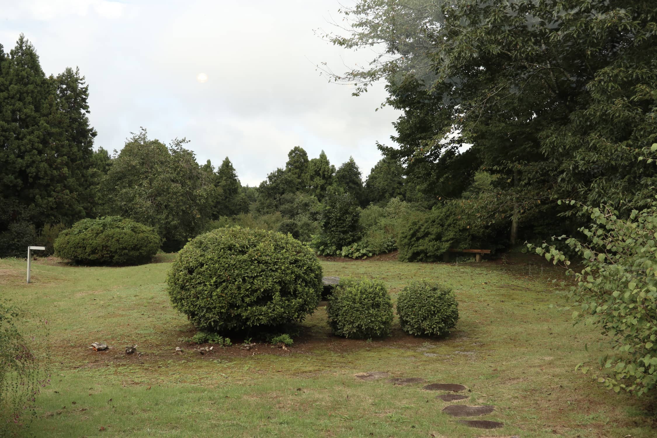 サイトポリシー